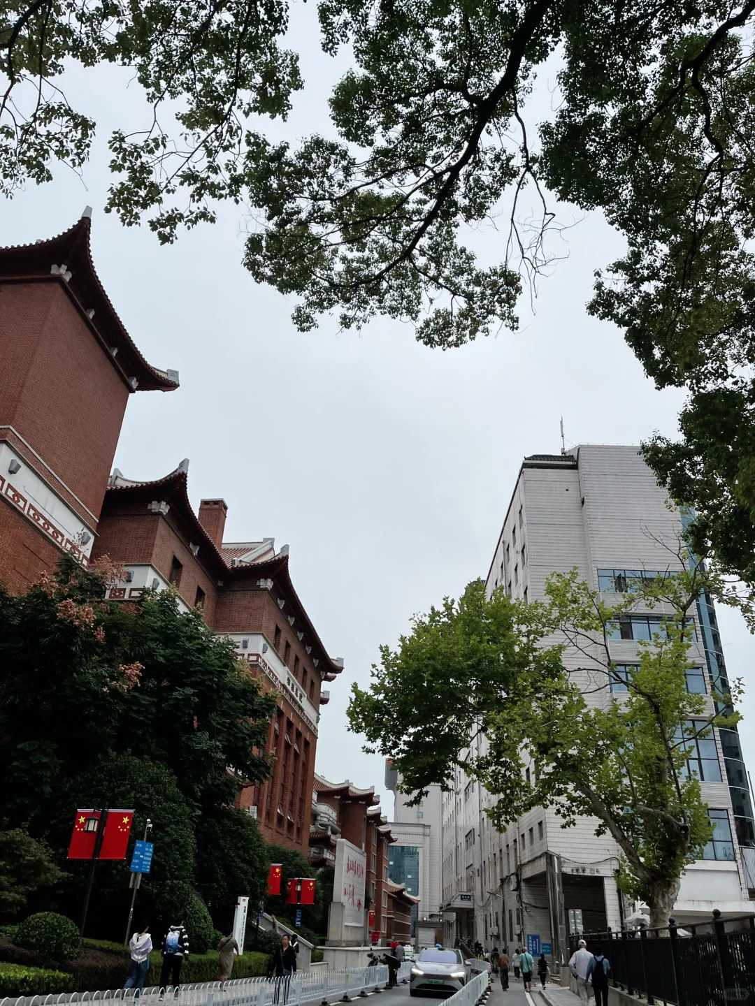 三步实现生育梦想：科学供卵助孕流程详解