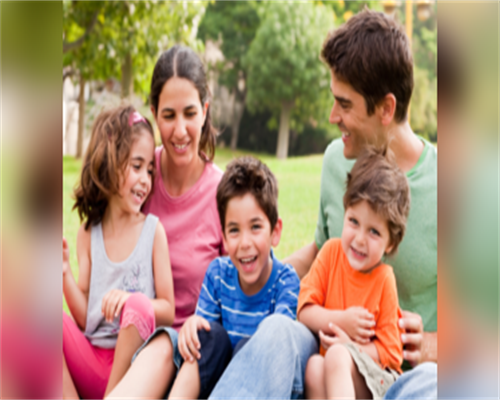 揭露‘博士卵源’承诺:学历造假产业链的真相与警示